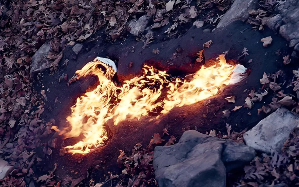 Ana-Mendieta-fire